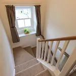 Yew Tree Borrowdale * 로스웨이트