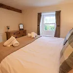 Yew Tree Borrowdale *