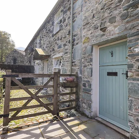 Yew Tree Borrowdale 로스웨이트